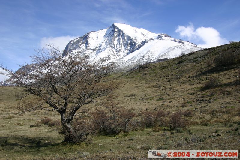 Parque Nacional Torres del Paine
Mots-clés: chile Montagne Neige