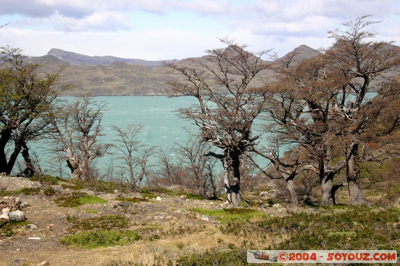Parque Nacional Torres del Paine - Lago Nordenskjold
Mots-clés: chile Lac