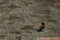 0-IMG_3938.jpg