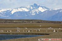 0-IMG_3941.jpg
