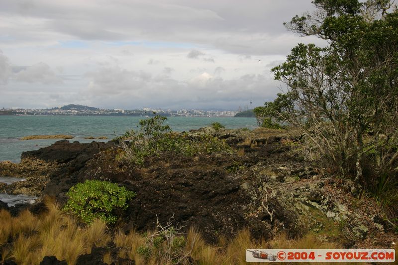 Auckland - Rongitoto Island
Mots-clés: New Zealand North Island mer plante