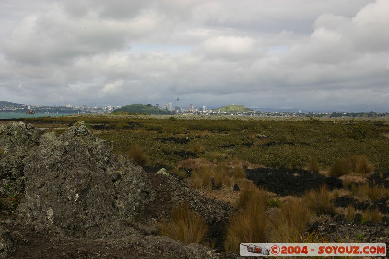 Auckland from Rongitoto Island
Mots-clés: New Zealand North Island