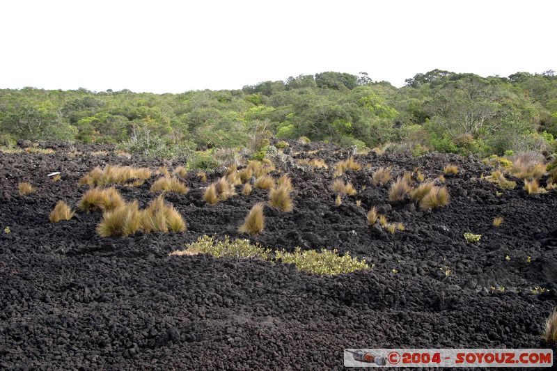 Auckland - Rongitoto Island
