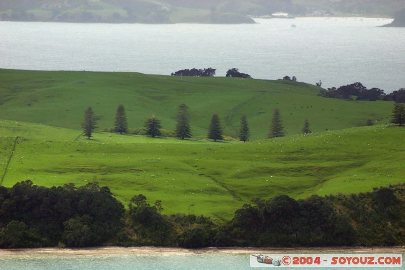 Auckland - Rongitoto Island
Mots-clés: New Zealand North Island