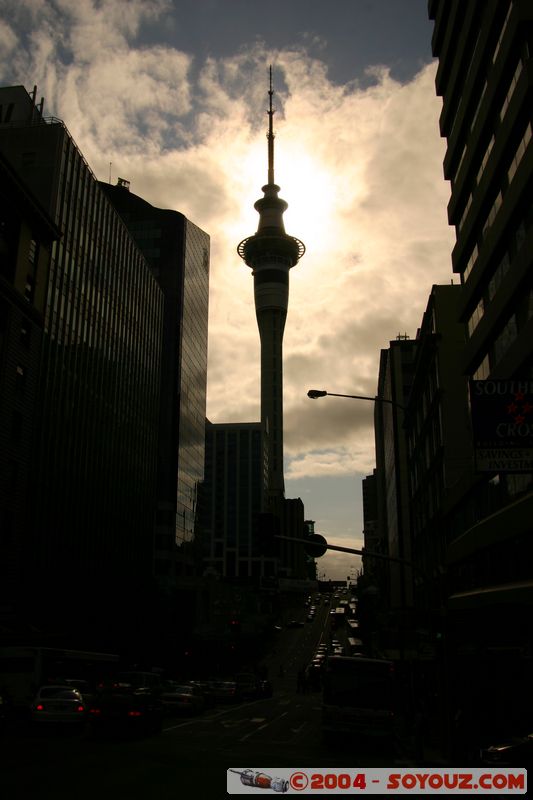 Auckland Sky Tower
Mots-clés: New Zealand North Island Auckland Sky Tower sunset