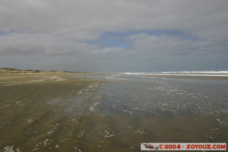 Ninety Mile Beach
Mots-clés: New Zealand North Island plage mer