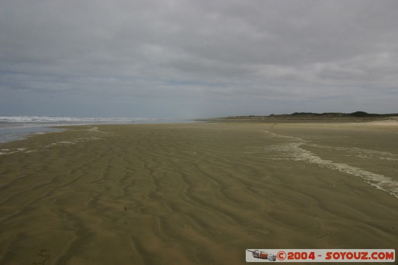 Ninety Mile Beach
Mots-clés: New Zealand North Island plage