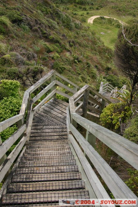 Ninety Mile Beach
Mots-clés: New Zealand North Island