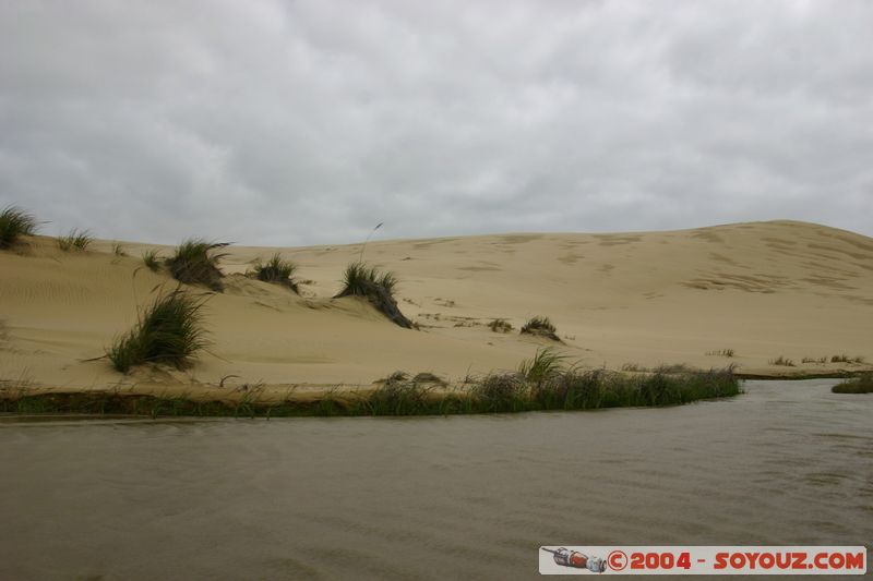 Ninety Mile Beach
Mots-clés: New Zealand North Island plage