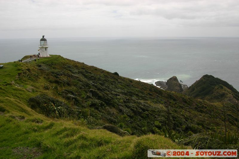 Cape Reinga Lighthouse
Mots-clés: New Zealand North Island mer Phare