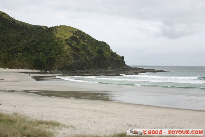 Cape Reinga - Spirits Bay
Mots-clés: New Zealand North Island plage mer