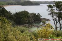 IMG_4345.JPG