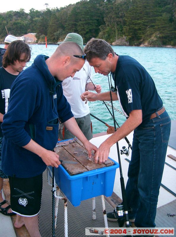 Bay of Islands - On The Rock boat  - Fishing
Mots-clés: New Zealand North Island