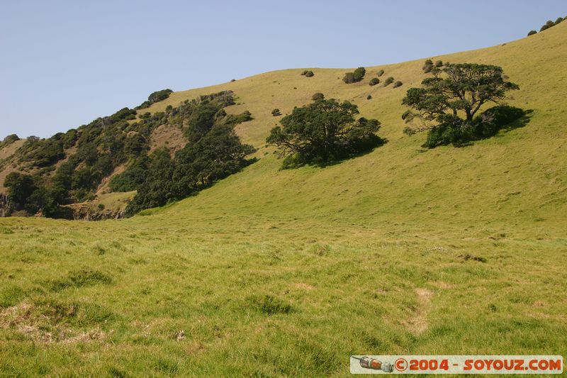 Bay of Islands - Waewaetoria Island
Mots-clés: New Zealand North Island