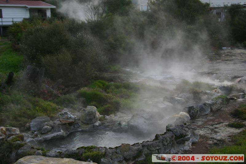 Rotorua - Ohinemutu - Hot springs
Mots-clés: New Zealand North Island geyser Thermes