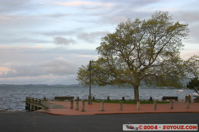 Rotorua - Lakefront
Mots-clés: New Zealand North Island Lac