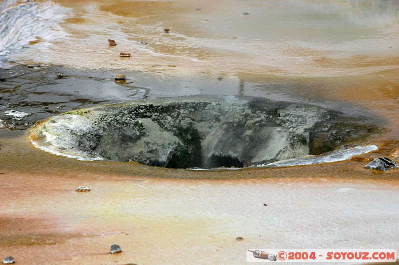 Whakarewarewa Village - Geothermal Area
Mots-clés: New Zealand North Island maori Thermes geyser