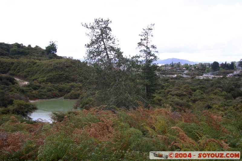 Whakarewarewa Village - Hot lake
