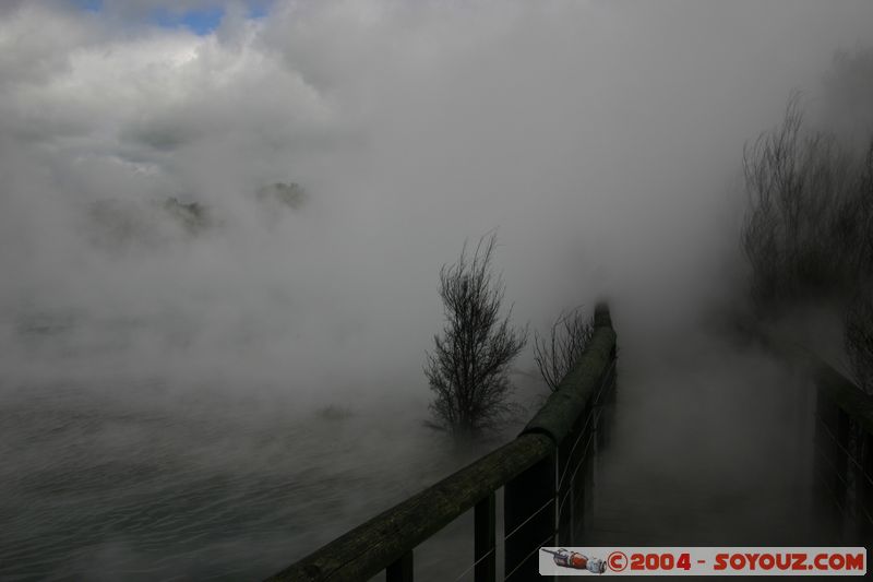 Rotorua - Kuirau Park - Hot Pools
Mots-clés: New Zealand North Island Thermes geyser