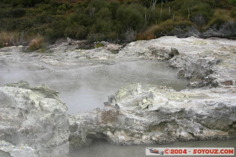 Hell's Gate
Mots-clés: New Zealand North Island Thermes geyser