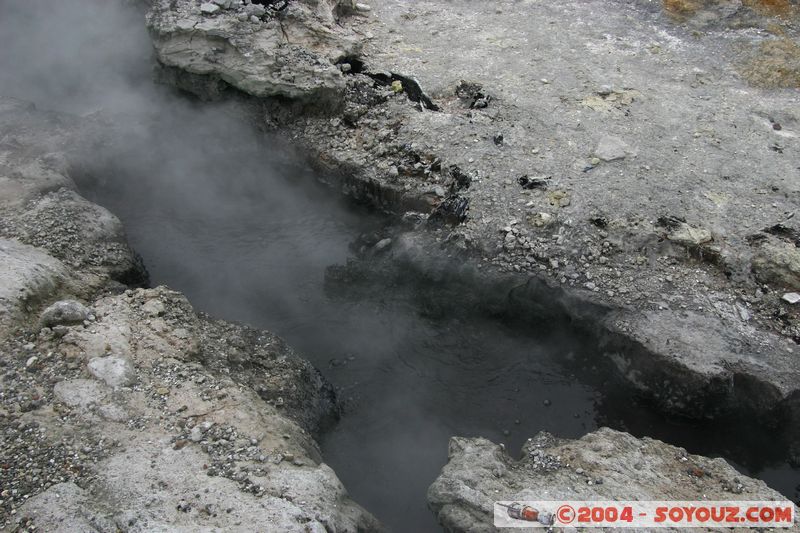 Hell's Gate
Mots-clés: New Zealand North Island Thermes geyser