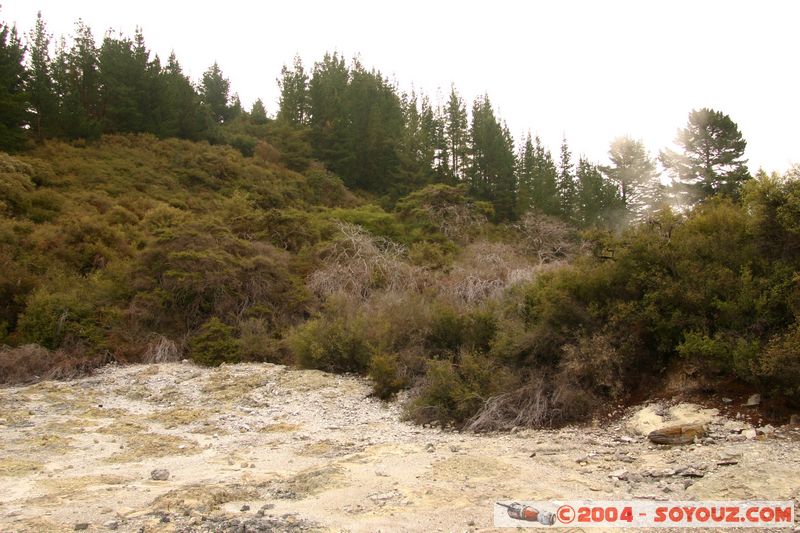 Hell's Gate
Mots-clés: New Zealand North Island Thermes geyser