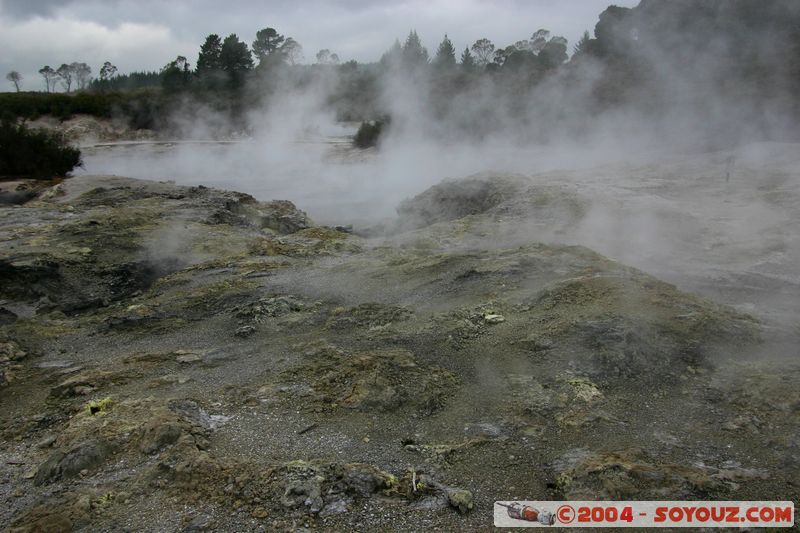 Hell's Gate
Mots-clés: New Zealand North Island Thermes geyser