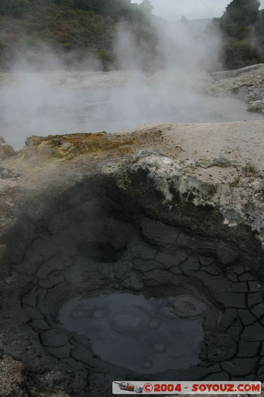 Hell's Gate
Mots-clés: New Zealand North Island Thermes geyser