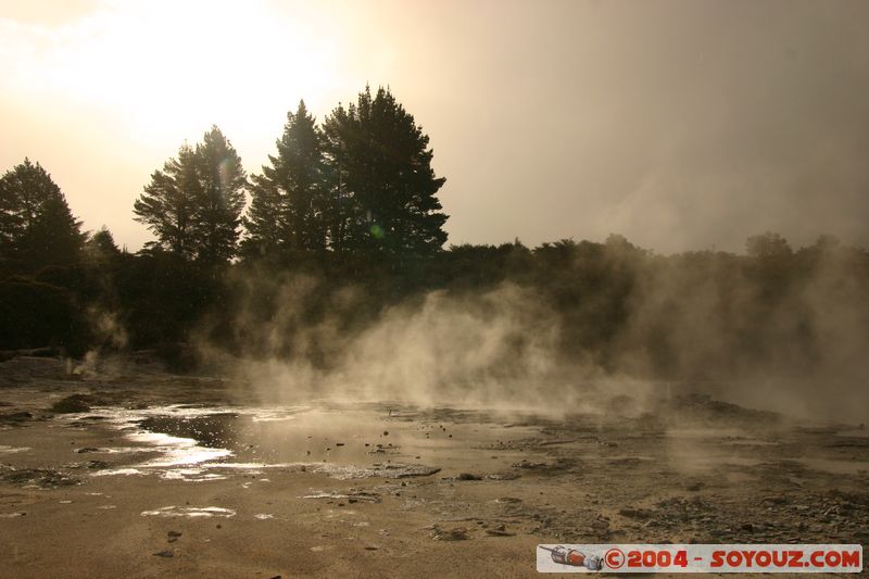 Hell's Gate
Mots-clés: New Zealand North Island Thermes geyser sunset