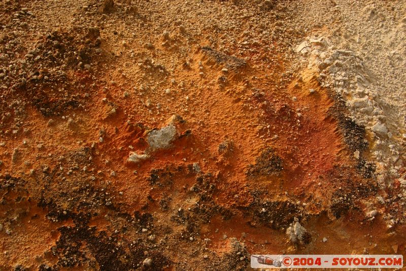 Hell's Gate
Mots-clés: New Zealand North Island Thermes geyser