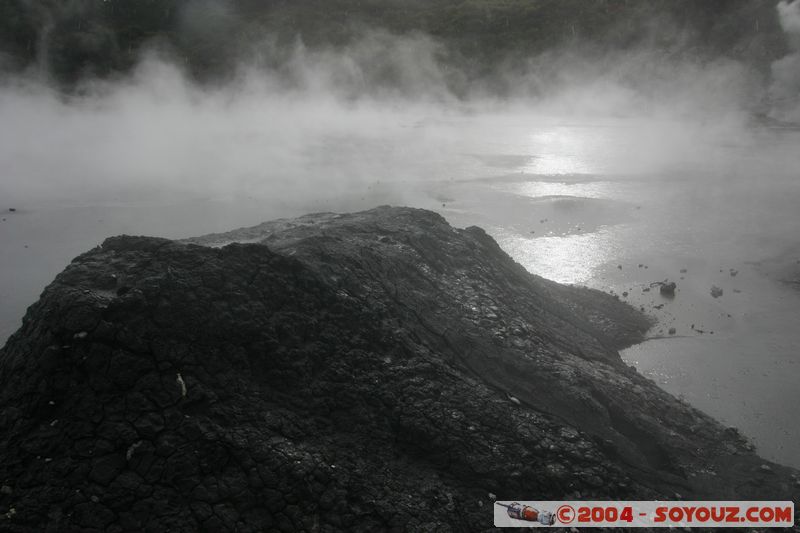 Hell's Gate
Mots-clés: New Zealand North Island Thermes geyser sunset