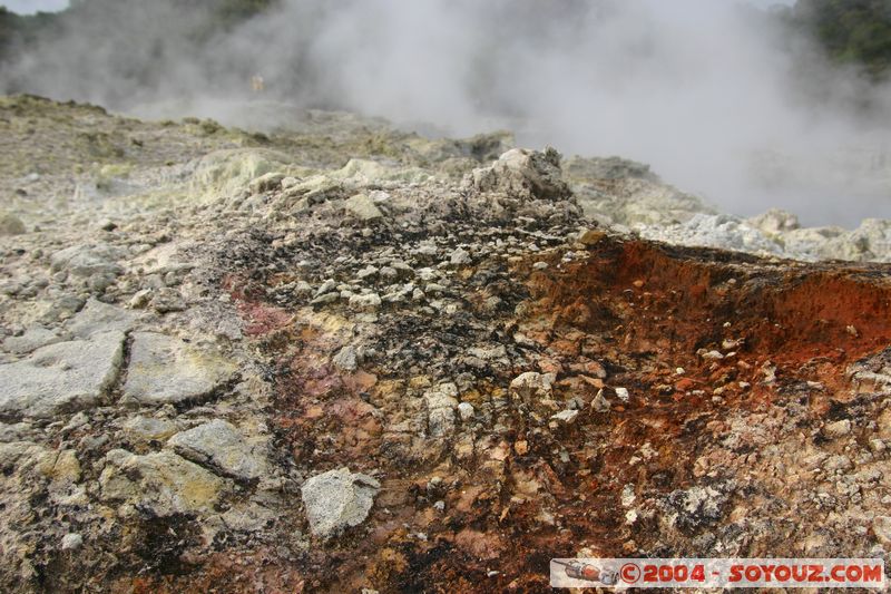 Hell's Gate
Mots-clés: New Zealand North Island Thermes geyser