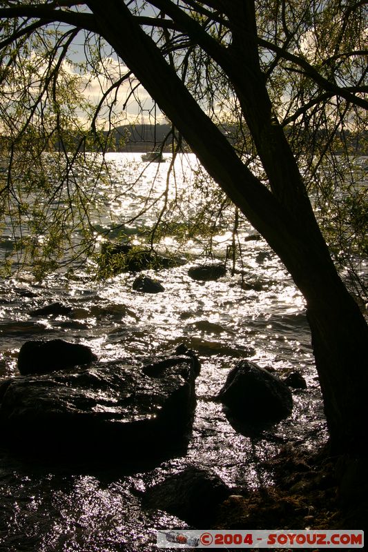 Lake Taupo
Mots-clés: New Zealand North Island Lac Arbres