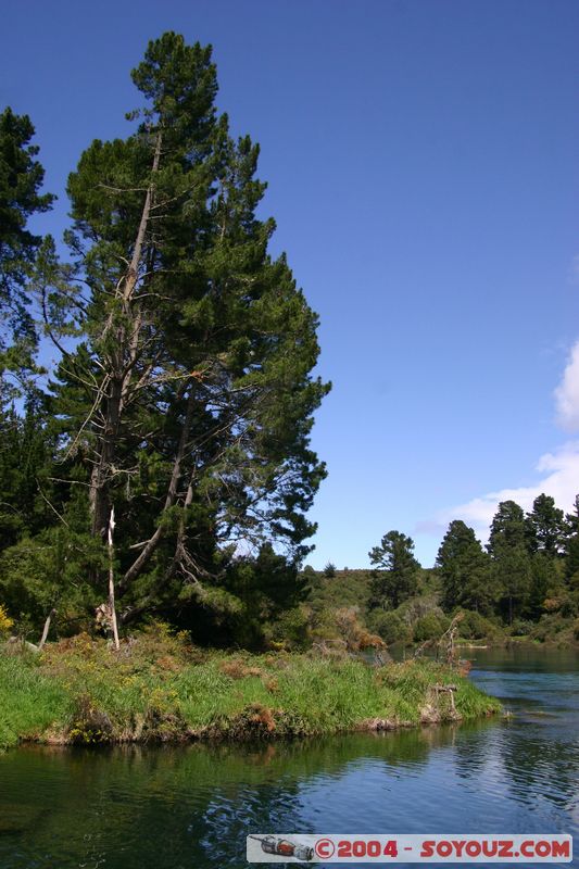 Taupo - Waikato River
Mots-clés: New Zealand North Island Riviere