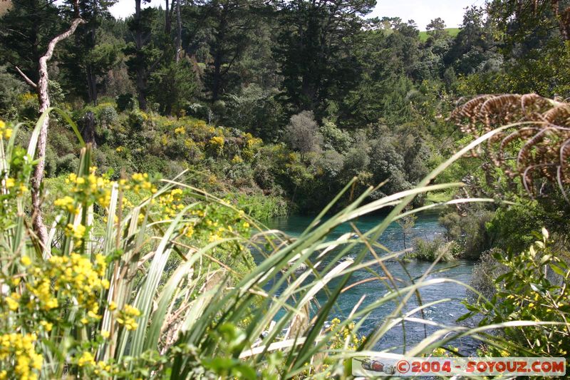 Taupo - Waikato River
Mots-clés: New Zealand North Island Riviere