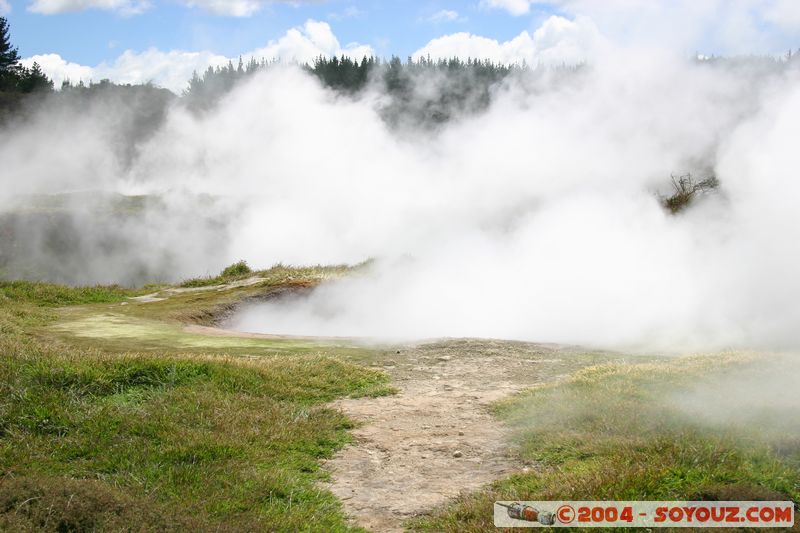 Taupo - Craters of the Moon
Mots-clés: New Zealand North Island geyser Thermes