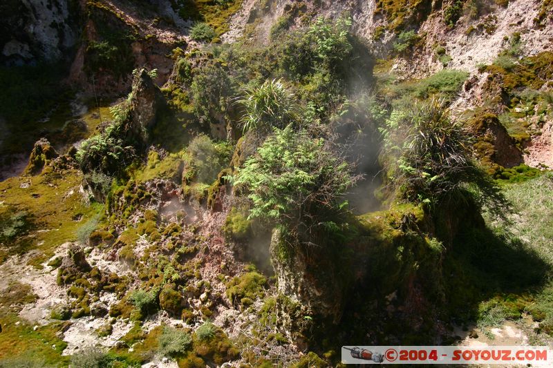 Taupo - Craters of the Moon
Mots-clés: New Zealand North Island geyser Thermes