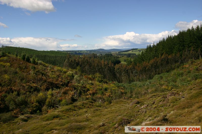 Taupo - Craters of the Moon
Mots-clés: New Zealand North Island geyser Thermes