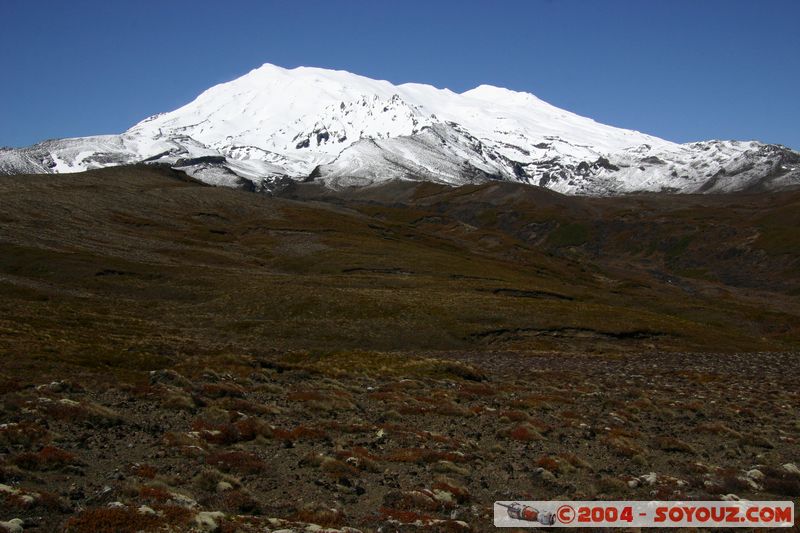 Tongariro National Park - Mt. Ruapehu
Mots-clés: New Zealand North Island patrimoine unesco volcan Neige