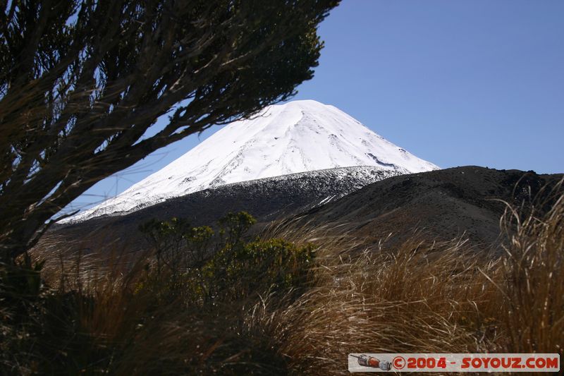 Tongariro National Park - Volcano Tongariro
Mots-clés: New Zealand North Island patrimoine unesco volcan Neige