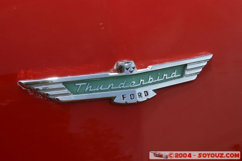 Napier - Old Cars Exhibition - Ford Thunderbird
Mots-clés: New Zealand North Island voiture