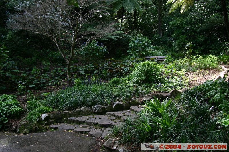 Wellington - Botanic Gardens
Mots-clés: New Zealand North Island