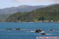 IMG_5445.JPG