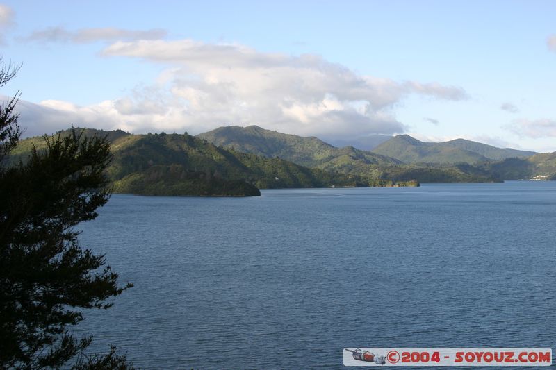 Queen Charlotte Sound - Okiwa Bay
Mots-clés: New Zealand South Island mer