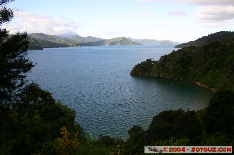 Queen Charlotte Sound - Okiwa Bay
Mots-clés: New Zealand South Island mer