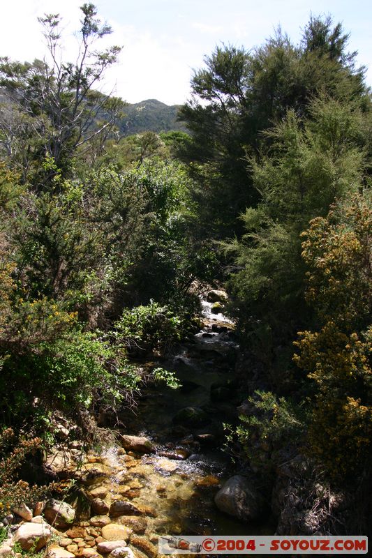 Abel Tasman National Park - Sandy Bay
Mots-clés: New Zealand South Island