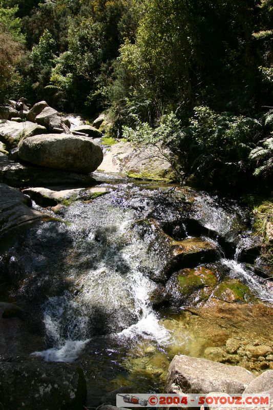 Abel Tasman National Park - Sandy Bay
Mots-clés: New Zealand South Island Riviere