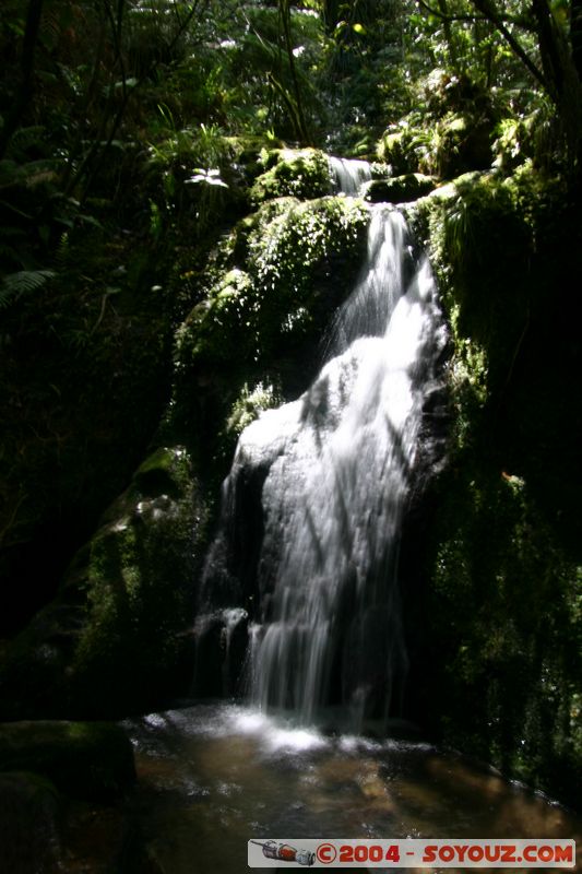 Abel Tasman National Park - Sandy Bay - Waterfall
Mots-clés: New Zealand South Island cascade