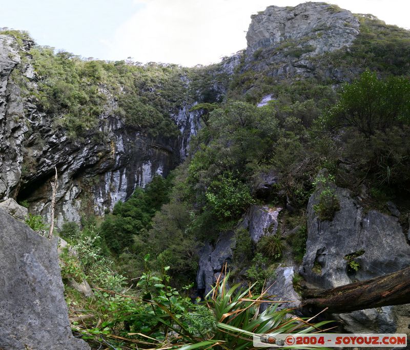 Abel Tasman National Park - Harwood Hole
Mots-clés: New Zealand South Island Arbres