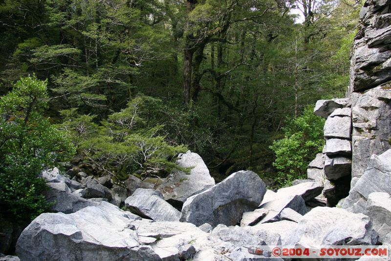 Abel Tasman National Park - Harwood Hole
Mots-clés: New Zealand South Island